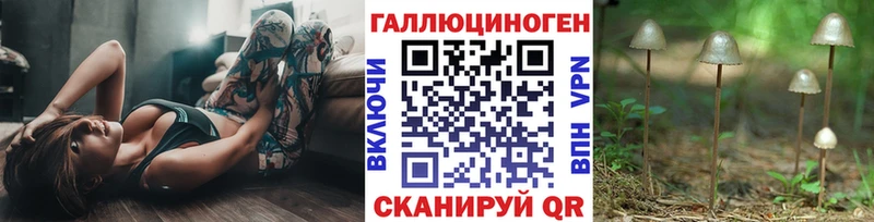 Псилоцибиновые грибы MAGIC MUSHROOMS купить наркотик кракен рабочий сайт Воронеж